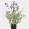 Artificial Flower 18*13*36cm Lavender in PP pot GS-27926065 2026Oct 3,000+ sqm showroom with thousands of artificial flowers, plants & trees ready for global sourcing.