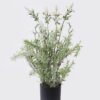 Artificial Flower 18*13*36cm Lavender in PP pot GS-27926065 2026Oct 3,000+ sqm showroom with thousands of artificial flowers, plants & trees ready for global sourcing.