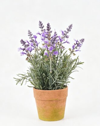 Artificial Flower 20*20*31cm Lavender in Paper pot-M GS-03325059-RP 2026SEP 3,000+ sqm showroom with thousands of artificial flowers, plants & trees ready for global sourcing. Artificial Flower 20*20*31cm Lavender in Paper pot-M GS-03325059-RP 2026SEP 3,000+ sqm showroom with thousands of artificial flowers, plants & trees ready for global sourcing.