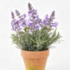 Artificial Flower 17*17*23cm Lavender in Paper pot-S GS-03325060-RP 2026SEP 3,000+ sqm showroom with thousands of artificial flowers, plants & trees ready for global sourcing.