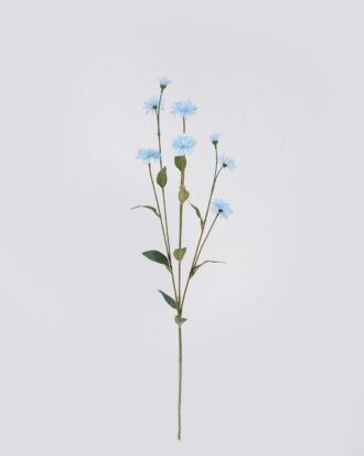 Artificial Flower 14*14*62cm Linearis *8 single stem GS-16823005-B1 2026Oct 3,000+ sqm showroom with thousands of artificial flowers, plants & trees ready for global sourcing. Artificial Flower 14*14*62cm Linearis *8 single stem GS-16823005-B1 2026Oct 3,000+ sqm showroom with thousands of artificial flowers, plants & trees ready for global sourcing.