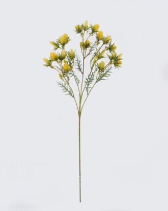 Artificial Flower 25*10*80cm Mulberries single stem GS-36626036CT-R-W1 2026Oct 3,000+ sqm showroom with thousands of artificial flowers, plants & trees ready for global sourcing. Artificial Flower 25*10*80cm Mulberries single stem GS-36626036CT-R-W1 2026Oct 3,000+ sqm showroom with thousands of artificial flowers, plants & trees ready for global sourcing.