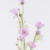 Artificial Flower 13*6*79cm Oleander single stem GS-00526039-Z1 2026SEP 3,000+ sqm showroom with thousands of artificial flowers, plants & trees ready for global sourcing.