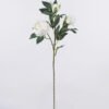 Artificial Flower 25*10*88cm Peony *3 single stem GS-15426050-W1 2026SEP 3,000+ sqm showroom with thousands of artificial flowers, plants & trees ready for global sourcing.