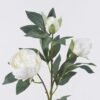Artificial Flower 25*10*88cm Peony *3 single stem GS-15426050-W1 2026SEP 3,000+ sqm showroom with thousands of artificial flowers, plants & trees ready for global sourcing.