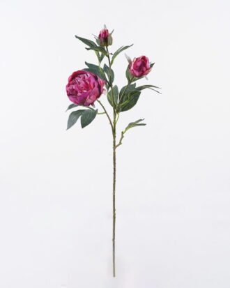 Artificial Flower 25*10*88cm Peony *3 single stem GS-15426050-Z1 2026SEP 3,000+ sqm showroom with thousands of artificial flowers, plants & trees ready for global sourcing. Artificial Flower 25*10*88cm Peony *3 single stem GS-15426050-Z1 2026SEP 3,000+ sqm showroom with thousands of artificial flowers, plants & trees ready for global sourcing.