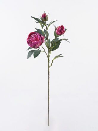 Artificial Flower 28*9*122cm Peony *5 single stem GS-15426051 2026SEP 3,000+ sqm showroom with thousands of artificial flowers, plants & trees ready for global sourcing.