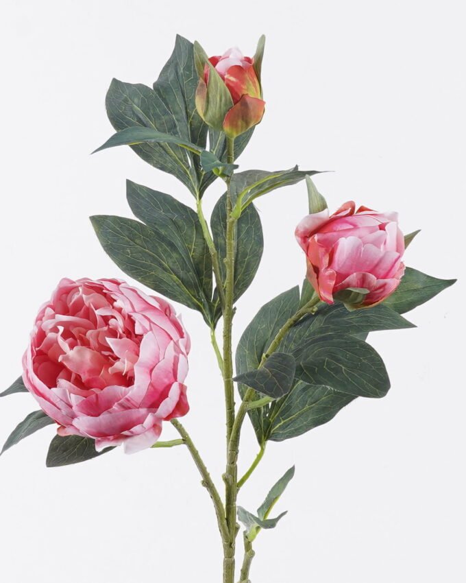 Artificial Flower 25*10*88cm Peony *3 single stem GS-15426050 2026SEP 3,000+ sqm showroom with thousands of artificial flowers, plants & trees ready for global sourcing.