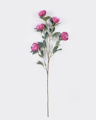 Artificial Flower 28*9*122cm Peony *5 single stem GS-15426051-Z1 2026SEP 3,000+ sqm showroom with thousands of artificial flowers, plants & trees ready for global sourcing. Artificial Flower 28*9*122cm Peony *5 single stem GS-15426051-Z1 2026SEP 3,000+ sqm showroom with thousands of artificial flowers, plants & trees ready for global sourcing.
