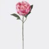 Artificial Flower 18*8*53cm Peony single stem/2 lvs GS-15426049-R1 2026SEP 3,000+ sqm showroom with thousands of artificial flowers, plants & trees ready for global sourcing.