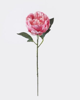Artificial Flower 18*8*53cm Peony single stem/2 lvs GS-15426049-R1 2026SEP 3,000+ sqm showroom with thousands of artificial flowers, plants & trees ready for global sourcing. Artificial Flower 18*8*53cm Peony single stem/2 lvs GS-15426049-R1 2026SEP 3,000+ sqm showroom with thousands of artificial flowers, plants & trees ready for global sourcing.