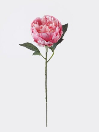Artificial Flower 18*8*53cm Peony single stem/2 lvs GS-15426049 2026SEP 3,000+ sqm showroom with thousands of artificial flowers, plants & trees ready for global sourcing.