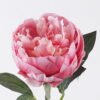 Artificial Flower 18*8*53cm Peony single stem/2 lvs GS-15426049-R1 2026SEP 3,000+ sqm showroom with thousands of artificial flowers, plants & trees ready for global sourcing.