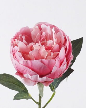 Artificial Flower 18*8*53cm Peony single stem/2 lvs GS-15426049-R1 2026SEP 3,000+ sqm showroom with thousands of artificial flowers, plants & trees ready for global sourcing. Artificial Flower 18*8*53cm Peony single stem/2 lvs GS-15426049-R1 2026SEP 3,000+ sqm showroom with thousands of artificial flowers, plants & trees ready for global sourcing.