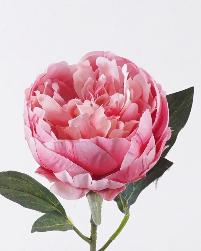 Artificial Flower 18*8*53cm Peony single stem/2 lvs GS-15426049-R1 2026SEP 3,000+ sqm showroom with thousands of artificial flowers, plants & trees ready for global sourcing.