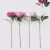 Artificial Flower 18*8*53cm Peony single stem/2 lvs GS-15426049 2026SEP 3,000+ sqm showroom with thousands of artificial flowers, plants & trees ready for global sourcing.