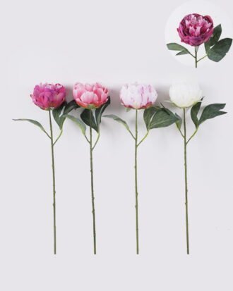 Artificial Flower 18*8*53cm Peony single stem/2 lvs GS-15426049 2026SEP 3,000+ sqm showroom with thousands of artificial flowers, plants & trees ready for global sourcing. Artificial Flower 18*8*53cm Peony single stem/2 lvs GS-15426049 2026SEP 3,000+ sqm showroom with thousands of artificial flowers, plants & trees ready for global sourcing.