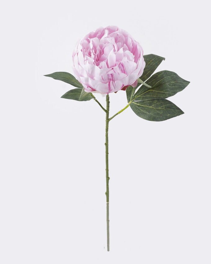Artificial Flower 18*8*53cm Peony single stem/2 lvs GS-15426049 2026SEP 3,000+ sqm showroom with thousands of artificial flowers, plants & trees ready for global sourcing.
