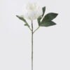 Artificial Flower 18*8*53cm Peony single stem/2 lvs GS-15426049 2026SEP 3,000+ sqm showroom with thousands of artificial flowers, plants & trees ready for global sourcing.