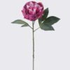 Artificial Flower 18*8*53cm Peony single stem/2 lvs GS-15426049 2026SEP 3,000+ sqm showroom with thousands of artificial flowers, plants & trees ready for global sourcing.