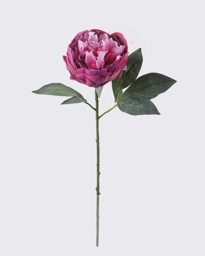 Artificial Flower 18*8*53cm Peony single stem/2 lvs GS-15426049 2026SEP 3,000+ sqm showroom with thousands of artificial flowers, plants & trees ready for global sourcing.