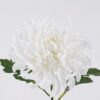 Artificial Flower Peony single stem 2 lvs GS-15426054_9 Artificial Flower 14*9*50cm Peony single stem/2 lvs GS-15426054 2026SEP 3,000+ sqm showroom with thousands of artificial flowers, plants & trees ready for global sourcing.