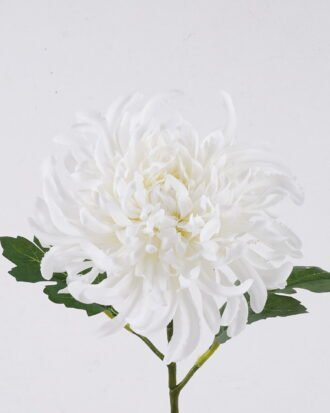 Artificial Flower 14*9*50cm Peony single stem/2 lvs GS-15426054 2026SEP 3,000+ sqm showroom with thousands of artificial flowers, plants & trees ready for global sourcing. Artificial Flower 14*9*50cm Peony single stem/2 lvs GS-15426054 2026SEP 3,000+ sqm showroom with thousands of artificial flowers, plants & trees ready for global sourcing.