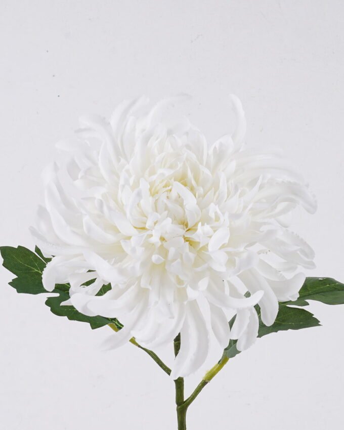 Artificial Flower 14*9*50cm Peony single stem/2 lvs GS-15426054 2026SEP 3,000+ sqm showroom with thousands of artificial flowers, plants & trees ready for global sourcing.