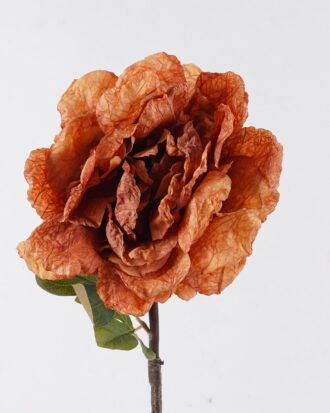 Artificial Flower 22*15*80cm Peony single stem GS-35126032-O1 2026Oct 3,000+ sqm showroom with thousands of artificial flowers, plants & trees ready for global sourcing. Artificial Flower 22*15*80cm Peony single stem GS-35126032-O1 2026Oct 3,000+ sqm showroom with thousands of artificial flowers, plants & trees ready for global sourcing.