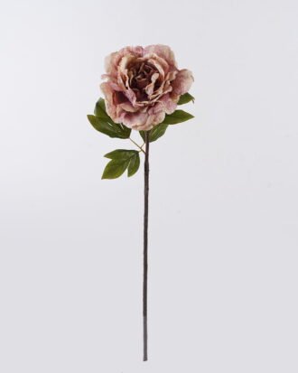 Artificial Flower 22*15*80cm Peony single stem GS-35126032-P1 2026Oct 3,000+ sqm showroom with thousands of artificial flowers, plants & trees ready for global sourcing. Artificial Flower 22*15*80cm Peony single stem GS-35126032-P1 2026Oct 3,000+ sqm showroom with thousands of artificial flowers, plants & trees ready for global sourcing.