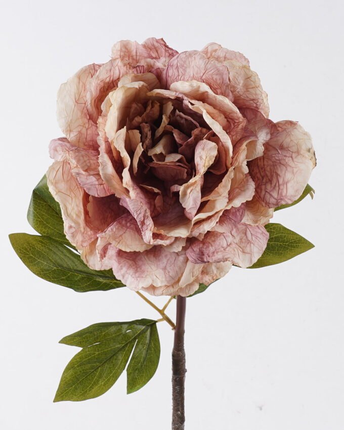 Artificial Flower 22*15*80cm Peony single stem GS-35126032-P1 2026Oct 3,000+ sqm showroom with thousands of artificial flowers, plants & trees ready for global sourcing.