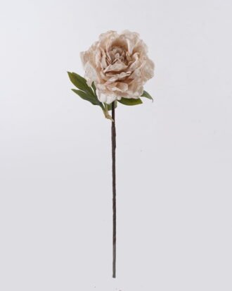 Artificial Flower 22*15*80cm Peony single stem GS-35126032-W1 2026Oct 3,000+ sqm showroom with thousands of artificial flowers, plants & trees ready for global sourcing. Artificial Flower 22*15*80cm Peony single stem GS-35126032-W1 2026Oct 3,000+ sqm showroom with thousands of artificial flowers, plants & trees ready for global sourcing.