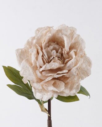Artificial Flower 22*15*80cm Peony single stem GS-35126032-W1 2026Oct 3,000+ sqm showroom with thousands of artificial flowers, plants & trees ready for global sourcing. Artificial Flower 22*15*80cm Peony single stem GS-35126032-W1 2026Oct 3,000+ sqm showroom with thousands of artificial flowers, plants & trees ready for global sourcing.