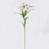 Artificial Flower 20*13*80cm Peruvian lilies *7 single stem GS-15426045CT-W1 2026SEP 3,000+ sqm showroom with thousands of artificial flowers, plants & trees ready for global sourcing.