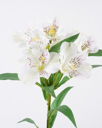 Artificial Flower 20*13*80cm Peruvian lilies *7 single stem GS-15426045CT-W1 2026SEP 3,000+ sqm showroom with thousands of artificial flowers, plants & trees ready for global sourcing. Artificial Flower 20*13*80cm Peruvian lilies *7 single stem GS-15426045CT-W1 2026SEP 3,000+ sqm showroom with thousands of artificial flowers, plants & trees ready for global sourcing.