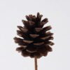 Artificial Flower Pine cone fruit single stem nature plants GS-51626021_9 Artificial Flower 5*5*70cm Pine cone fruit single stem/nature plants GS-51626021 2026Oct 3,000+ sqm showroom with thousands of artificial flowers, plants & trees ready for global sourcing.