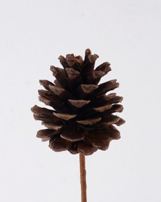 Artificial Flower 5*5*70cm Pine cone fruit single stem/nature plants GS-51626021 2026Oct 3,000+ sqm showroom with thousands of artificial flowers, plants & trees ready for global sourcing. Artificial Flower 5*5*70cm Pine cone fruit single stem/nature plants GS-51626021 2026Oct 3,000+ sqm showroom with thousands of artificial flowers, plants & trees ready for global sourcing.