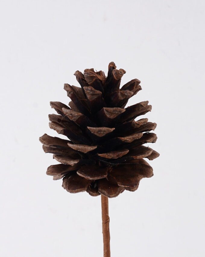 Artificial Flower 5*5*70cm Pine cone fruit single stem/nature plants GS-51626021 2026Oct 3,000+ sqm showroom with thousands of artificial flowers, plants & trees ready for global sourcing.