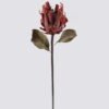 Artificial Flower Protea cynaroides single stem GS-35126031-O1_2 Artificial Flower 15*8*57cm Protea cynaroides single stem GS-35126031-O1 2026Oct 3,000+ sqm showroom with thousands of artificial flowers, plants & trees ready for global sourcing.
