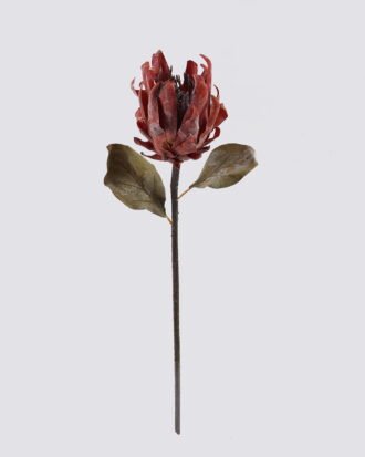Artificial Flower 15*8*57cm Protea cynaroides single stem GS-35126031-O1 2026Oct 3,000+ sqm showroom with thousands of artificial flowers, plants & trees ready for global sourcing. Artificial Flower 15*8*57cm Protea cynaroides single stem GS-35126031-O1 2026Oct 3,000+ sqm showroom with thousands of artificial flowers, plants & trees ready for global sourcing.