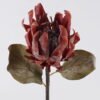 Artificial Flower Protea cynaroides single stem GS-35126031-O1_4 Artificial Flower 15*8*57cm Protea cynaroides single stem GS-35126031-O1 2026Oct 3,000+ sqm showroom with thousands of artificial flowers, plants & trees ready for global sourcing.