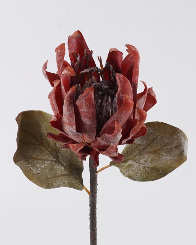Artificial Flower Protea cynaroides single stem GS-35126031-O1_4 Artificial Flower 15*8*57cm Protea cynaroides single stem GS-35126031-O1 2026Oct 3,000+ sqm showroom with thousands of artificial flowers, plants & trees ready for global sourcing.