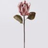 Artificial Flower Protea cynaroides single stem GS-35126031-P1_2 Artificial Flower 15*8*57cm Protea cynaroides single stem GS-35126031-P1 2026Oct 3,000+ sqm showroom with thousands of artificial flowers, plants & trees ready for global sourcing.