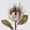 Artificial Flower Protea cynaroides single stem GS-35126031-W1_4 Artificial Flower 15*8*57cm Protea cynaroides single stem GS-35126031-W1 2026Oct 3,000+ sqm showroom with thousands of artificial flowers, plants & trees ready for global sourcing.