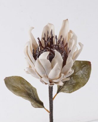 Artificial Flower 15*8*57cm Protea cynaroides single stem GS-35126031-W1 2026Oct 3,000+ sqm showroom with thousands of artificial flowers, plants & trees ready for global sourcing. Artificial Flower 15*8*57cm Protea cynaroides single stem GS-35126031-W1 2026Oct 3,000+ sqm showroom with thousands of artificial flowers, plants & trees ready for global sourcing.