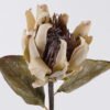 Artificial Flower Protea cynaroides single stem GS-35126031_2 Artificial Flower 15*8*57cm Protea cynaroides single stem GS-35126031 2026Oct 3,000+ sqm showroom with thousands of artificial flowers, plants & trees ready for global sourcing.