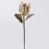 Artificial Flower Protea cynaroides single stem GS-35126031_3 Artificial Flower 15*8*57cm Protea cynaroides single stem GS-35126031 2026Oct 3,000+ sqm showroom with thousands of artificial flowers, plants & trees ready for global sourcing.