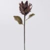 Artificial Flower Protea cynaroides single stem GS-35126031_5 Artificial Flower 15*8*57cm Protea cynaroides single stem GS-35126031 2026Oct 3,000+ sqm showroom with thousands of artificial flowers, plants & trees ready for global sourcing.