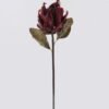 Artificial Flower Protea cynaroides single stem GS-35126031_6 Artificial Flower 15*8*57cm Protea cynaroides single stem GS-35126031 2026Oct 3,000+ sqm showroom with thousands of artificial flowers, plants & trees ready for global sourcing.