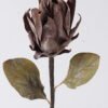 Artificial Flower Protea cynaroides single stem GS-35126035-K2_4 Artificial Flower 14*11*55cm Protea cynaroides single stem GS-35126035-K2 2026Oct 3,000+ sqm showroom with thousands of artificial flowers, plants & trees ready for global sourcing.